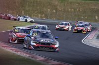 Ruben Volt - ALM Motorsport Honda Civic Type R TCR