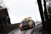 Guillaume de Mévius - Peugeot 208 T16