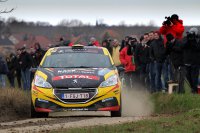 Guillaume de Mevius - Peugeot 208 R2