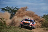 Thierry Neuville - Hyundai i20 WRC