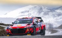 Thierry Neuville - Hyundai i20 WRC