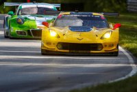 Oliver Gavin - Corvette Racing