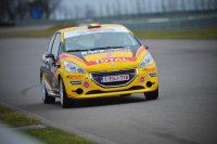 Gino Bux/Eric Borguet - Peugeot 208 R2