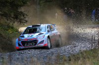Thierry Neuville - Hyundai i20 WRC