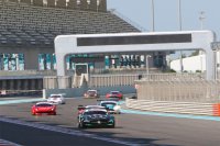 Black Falcon - Mercedes SLS AMG GT3