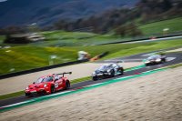Red Ant Racing - Porsche 992 GT3 Cup