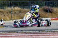 Mini Rookie