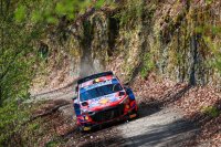 Thierry Neuville - Hyundai i20 WRC