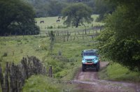 De Rooy-Torrallardona-Rodewald - Iveco