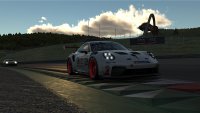 Thomas Houblon - Porsche 911 Cup