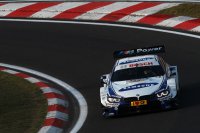 Maxime Martin - BMW M4 DTM