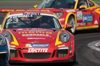 Dylan Derdaele - Porsche Mobil1 Supercup