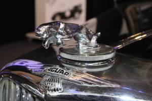 Autoworld: 80 years Jaguar