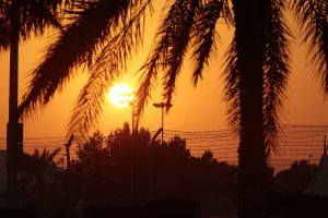 Bahrein: De trainingen op donderdag in beeld gebracht