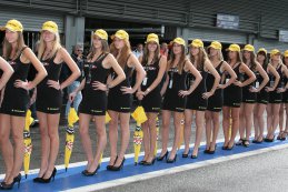Autosport.be selectie babes uit 2013