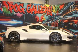 POG Gallery