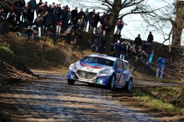 Kris Princen - Peugeot 208 T16 R5