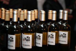 LePlan GT wines