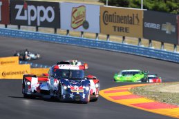 Panoz DeltaWing Racing - DeltaWing DWC13