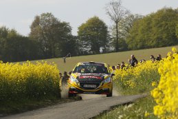 Guillaume de Mevius - Peugeot 208 R2