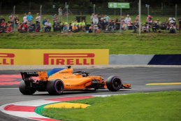 Stoffel Vandoorne - McLaren Renault