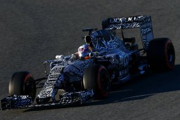 Red Bull Racing RB11