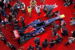 Scuderia Toro Rosso STR8