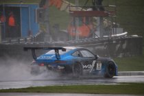 Red Ant Racing - Porsche 991