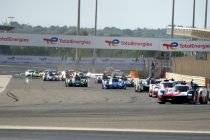 Nieuws uit de verschillende endurance paddocks