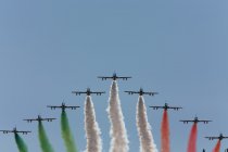 Monza: De race in beeld  gebracht