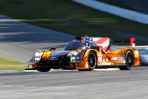 Petit Le Mans: winst voor Michael Shank Racing - titel voor AER