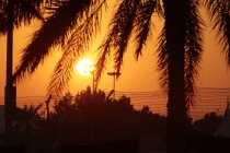 Bahrein: De trainingen op donderdag in beeld gebracht