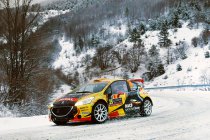 Monte-Carlo: Nabeschouwing van Guillaume de Mévius