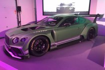 Bentley in het groen