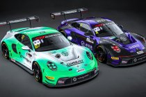 Alessio Picariello ook een half seizoen in GT World Challenge Asia