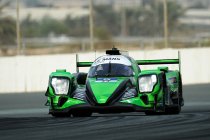 4H Dubai: Phoenix Racing snelste in vrije training