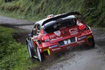 Corsica: Meeke opent furieus