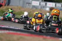 Karting: Nederlandse kartbanen versoepelen de maatregelen