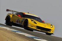 Prospeed naar ELMS met Corvette C7.R