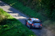 Duitsland: Hyundai en Citroën verschuiven pionnen