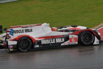 Austin: Muscle Milk HPD probleemloos naar de pole – BMW snelste bij de GT’s