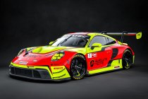 Alessio Picariello terug naar Fanatec GT World Challenge Asia met Absolute Racing