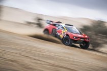 Dakar: Belgen doen gouden zaak na rustdag