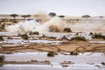 Dakar: Loeb en Lurquin van start tot finish