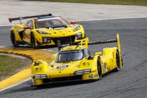 Roar before the Rolex 24:  Opnieuw Cadillac en Porsche bovenaan op dag twee