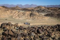 Dakar: Ford toont zich meteen