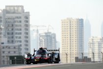Asian Le Mans Series: Stoffel Vandoorne enkel in Dubai aan de start