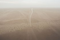 Africa Eco Race: Straftijd voor Belgische leiders