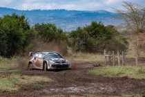 Kenya: Rovanperä ruikt zege al