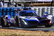 12H Sebring: Twee op twee voor Dries Vanthoor